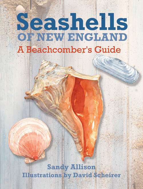 Book cover of Seashells of New England: A Beachcomber's Guide
