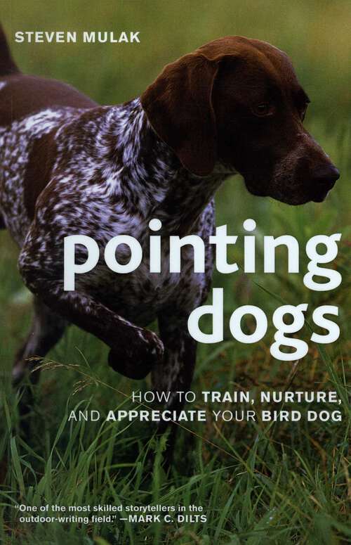 Book cover of Pointing Dogs: How to Train, Nurture, and Appreciate Your Bird Dog