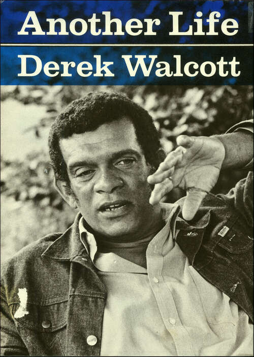 Book cover of Another Life