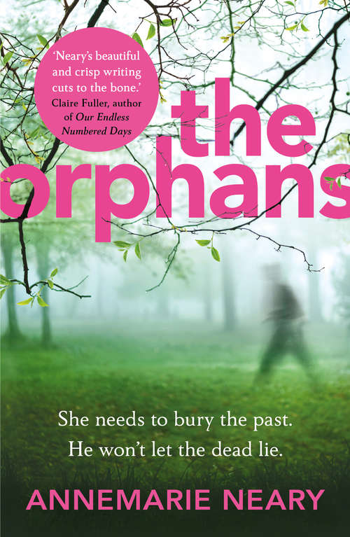 Book cover of The Orphans