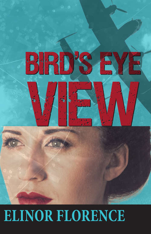 Book cover of Bird's Eye View