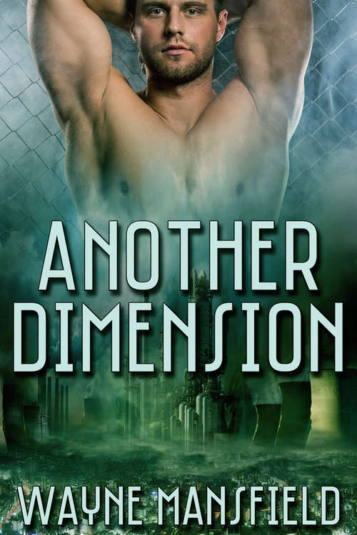 Book cover of Another Dimension