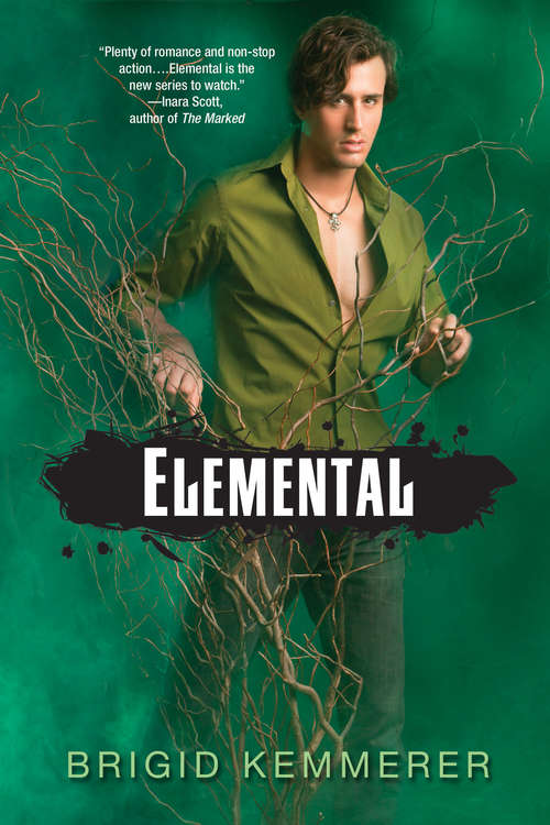 Book cover of Elemental: An Elementals Novella #0. 5 (Elemental #4)