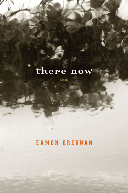 Book cover of There Now: Poems