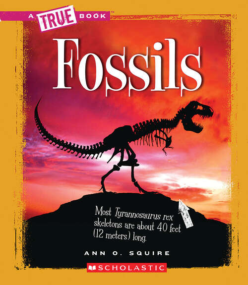 Book cover of Fossils (A True Book (Relaunch))