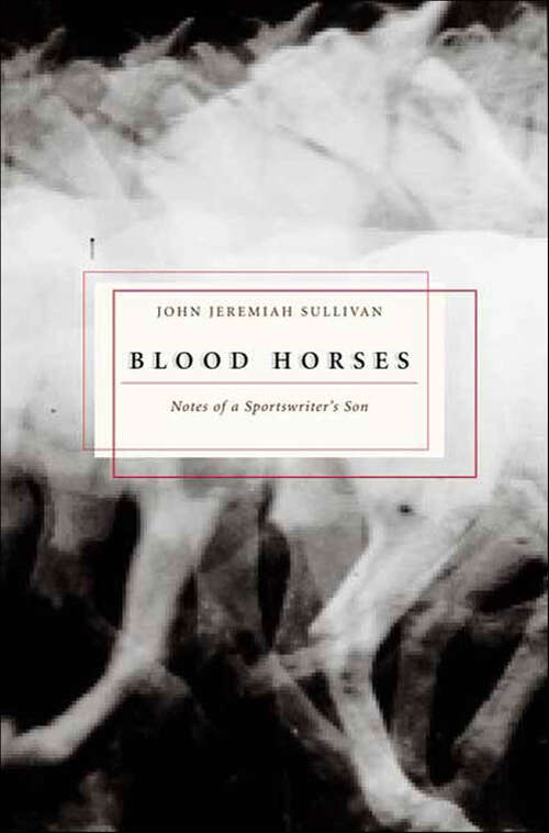 Book cover of Blood Horses: Notes of a Sportswriter's Son