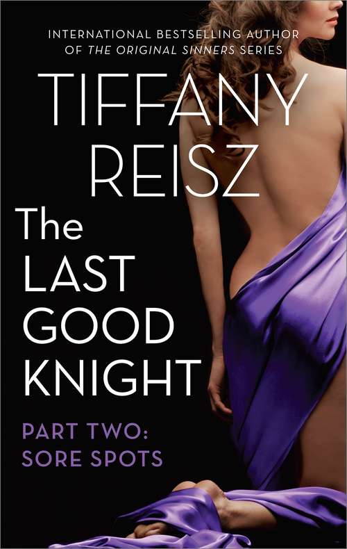 Book cover of The Last Good Knight Part II: Sore Spots