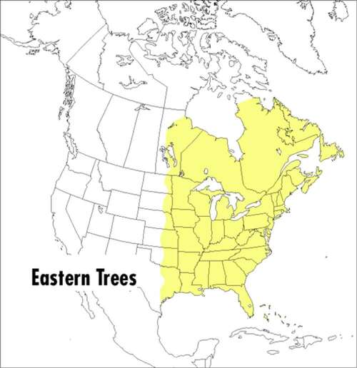 Book cover of A Peterson Field Guide To Eastern Trees: Eastern United States And Canada, Including The Midwest (Second Edition) (Peterson Field Guides: Volume 11)