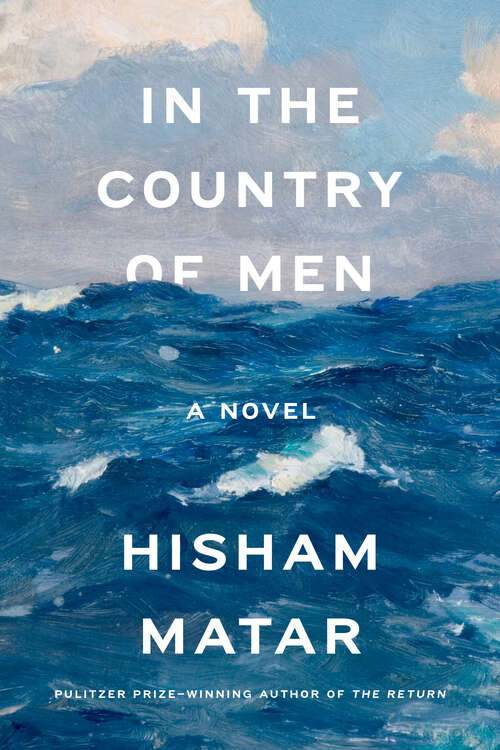 Book cover of In the Country of Men