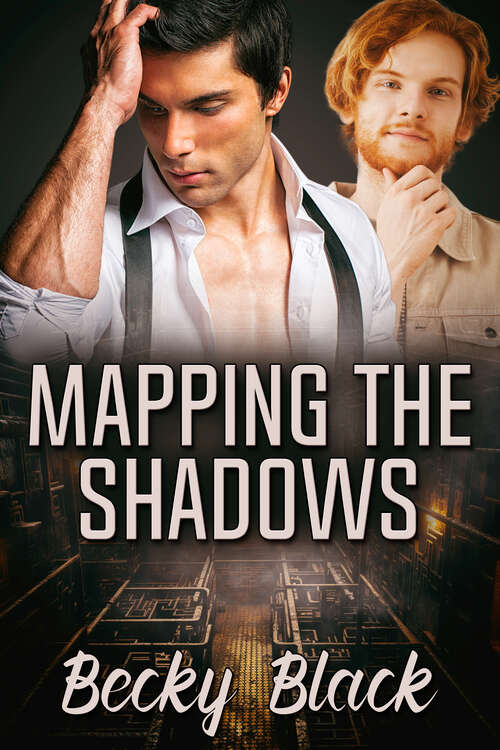 Book cover of Mapping the Shadows