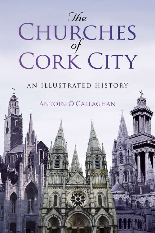 Book cover of The Churches of Cork City: An Illustrated History