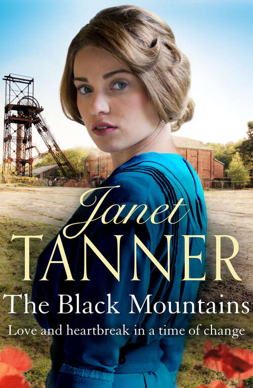 Book cover of The Black Mountains (The Hillsbridge Sagas)