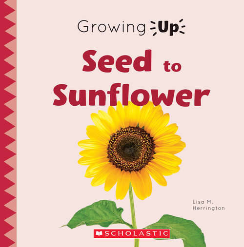 Book cover of Seed to Sunflower (Growing Up Ser.)