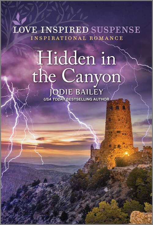 Book cover of Hidden in the Canyon (Original)