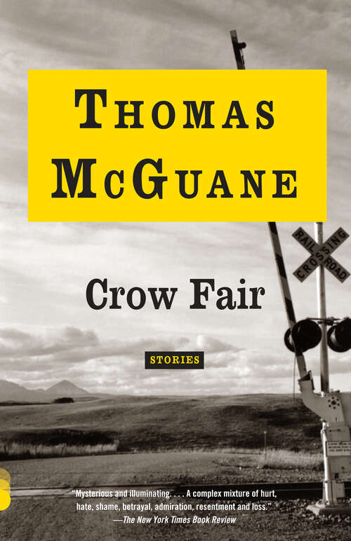 Book cover of Crow Fair