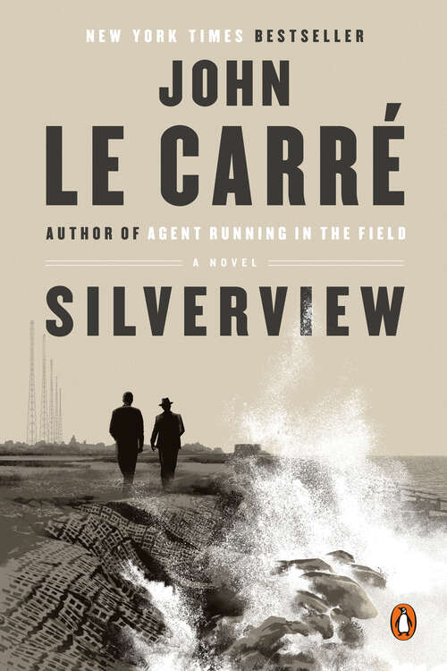 Book cover of Silverview: A Novel