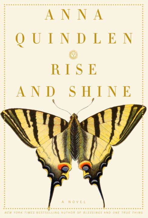 Rise and Shine: A Novel