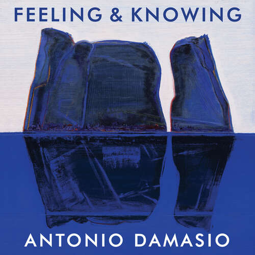 Book cover of Feeling and Knowing: Making Minds Conscious
