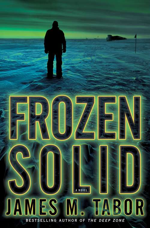Book cover of Frozen Solid: A Novel
