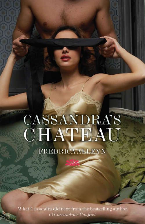Book cover of Cassandra's Chateau