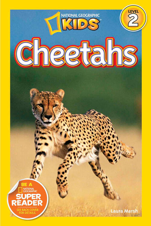Book cover of Cheetahs (Readers)