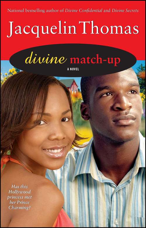 Book cover of Divine Match-Up