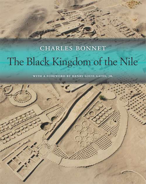 Book cover of The Black Kingdom of the Nile