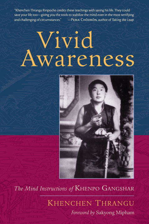 Book cover of Vivid Awareness: The Mind Instructions of Khenpo Gangshar