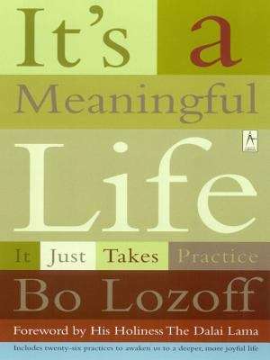 Book cover of It's a Meaningful Life