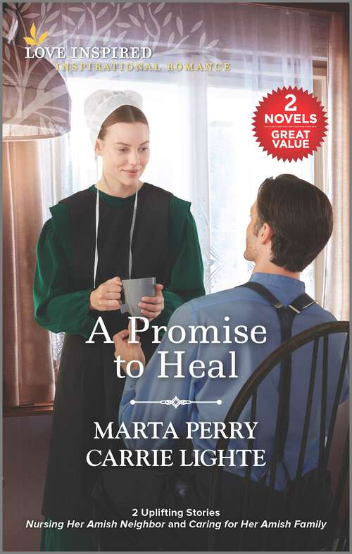 Book cover of A Promise to Heal (Reissue)