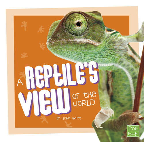 Book cover of A Reptile’s View of the World (Pet Perspectives Ser.)