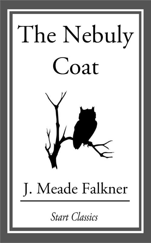 Book cover of The Nebuly Coat