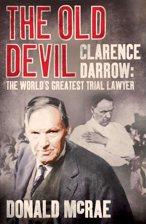 Book cover of The Old Devil