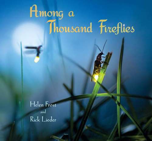 Book cover of Among A Thousand Fireflies