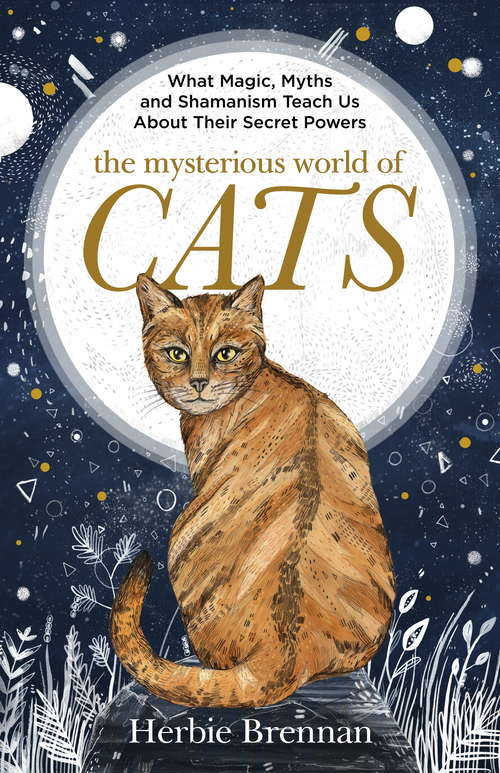 Book cover of The Mysterious World of Cats: The ultimate gift book for people who are bonkers about their cat