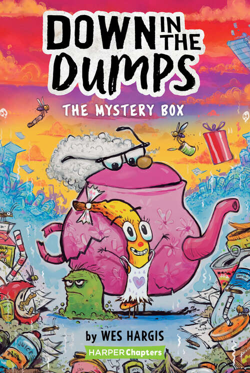 Book cover of Down in the Dumps #1: The Mystery Box (HarperChapters)