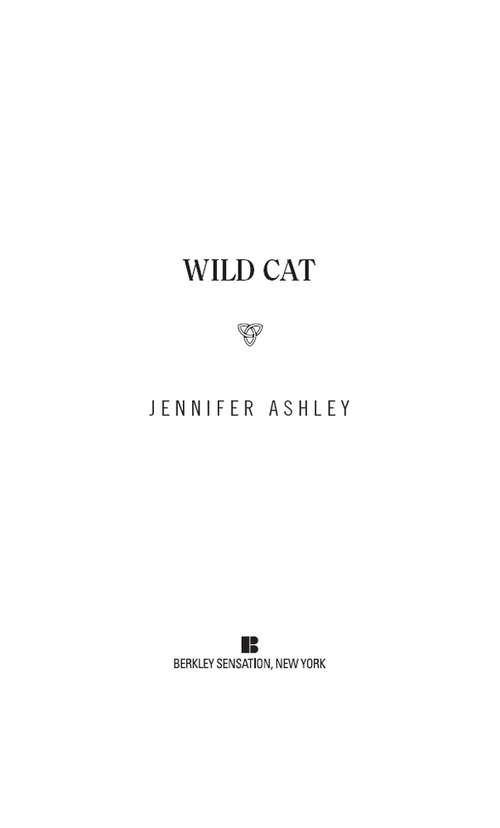 Book cover of Wild Cat