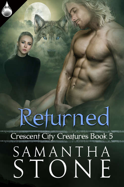 Book cover of Returned