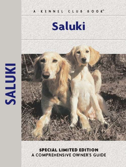 Book cover of Saluki