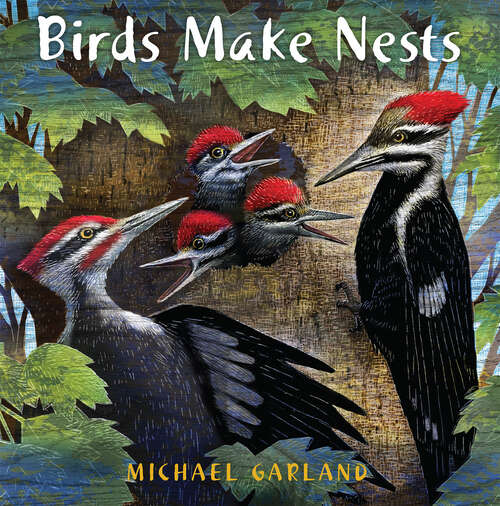 Book cover of Birds Make Nests