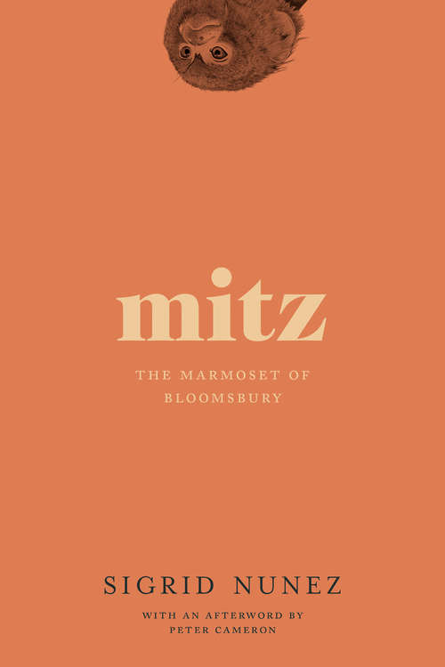 Book cover of Mitz: The Marmoset of Bloomsbury