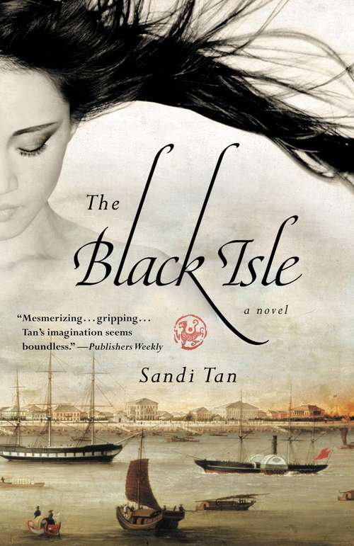 Book cover of The Black Isle