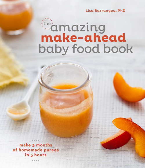 Book cover of The Amazing Make-Ahead Baby Food Book