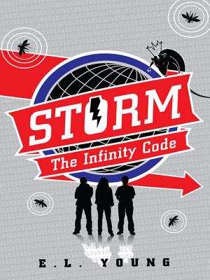 Book cover of STORM: The Infinity Code