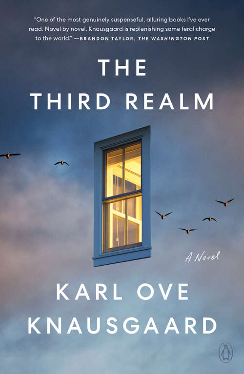 Book cover of The Third Realm: A Novel