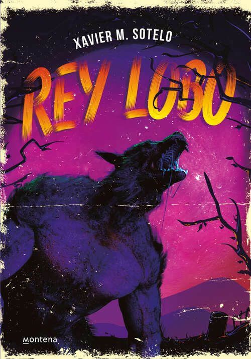 Book cover of Rey Lobo