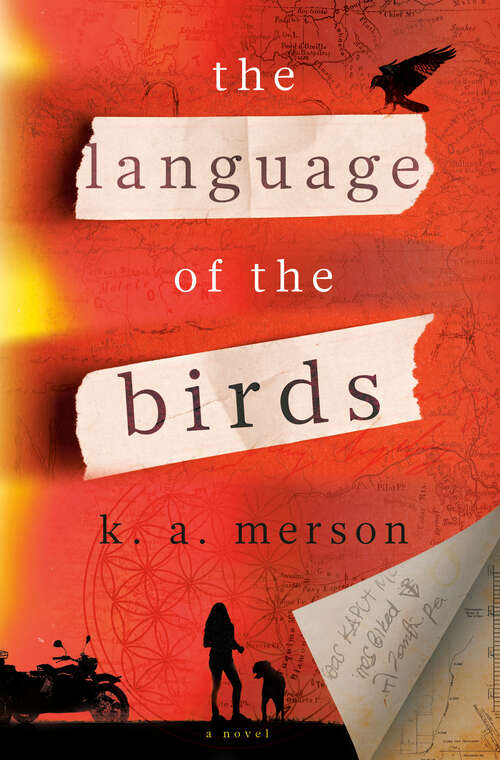 Book cover of The Language of the Birds: A Novel