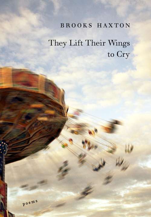 Book cover of They Lift Their Wings to Cry