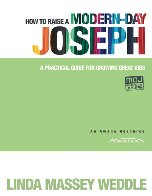 Book cover of How to Raise a Modern-Day Joseph