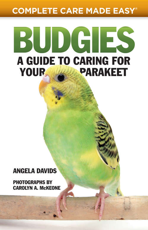 Book cover of Budgies